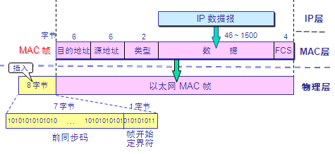 mac帧格式