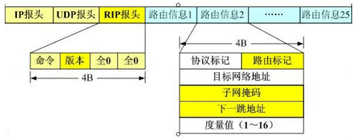 RIP报文格式